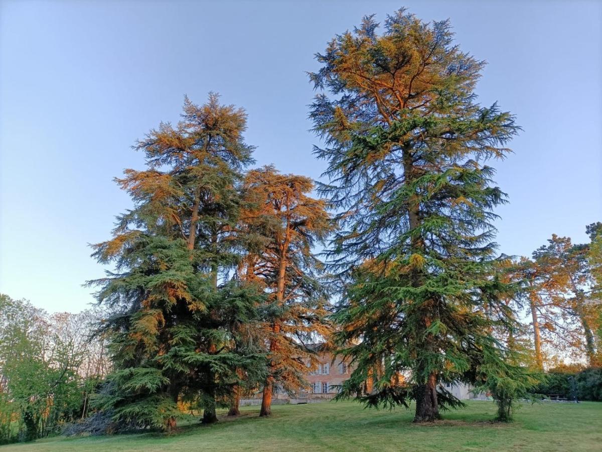 Le Jardin Des Cedres Hotel Lavaur  Bagian luar foto