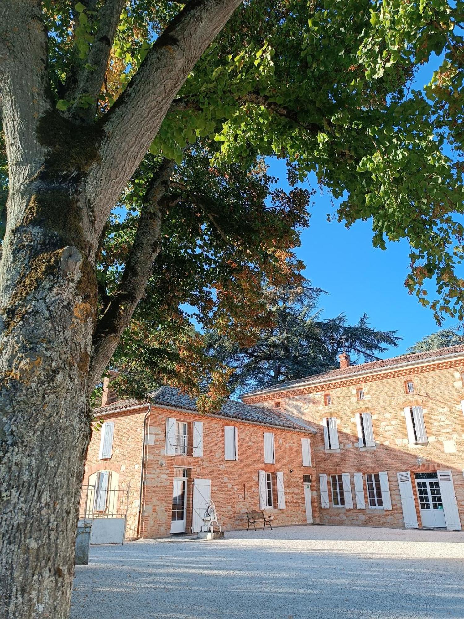 Le Jardin Des Cedres Hotel Lavaur  Bagian luar foto