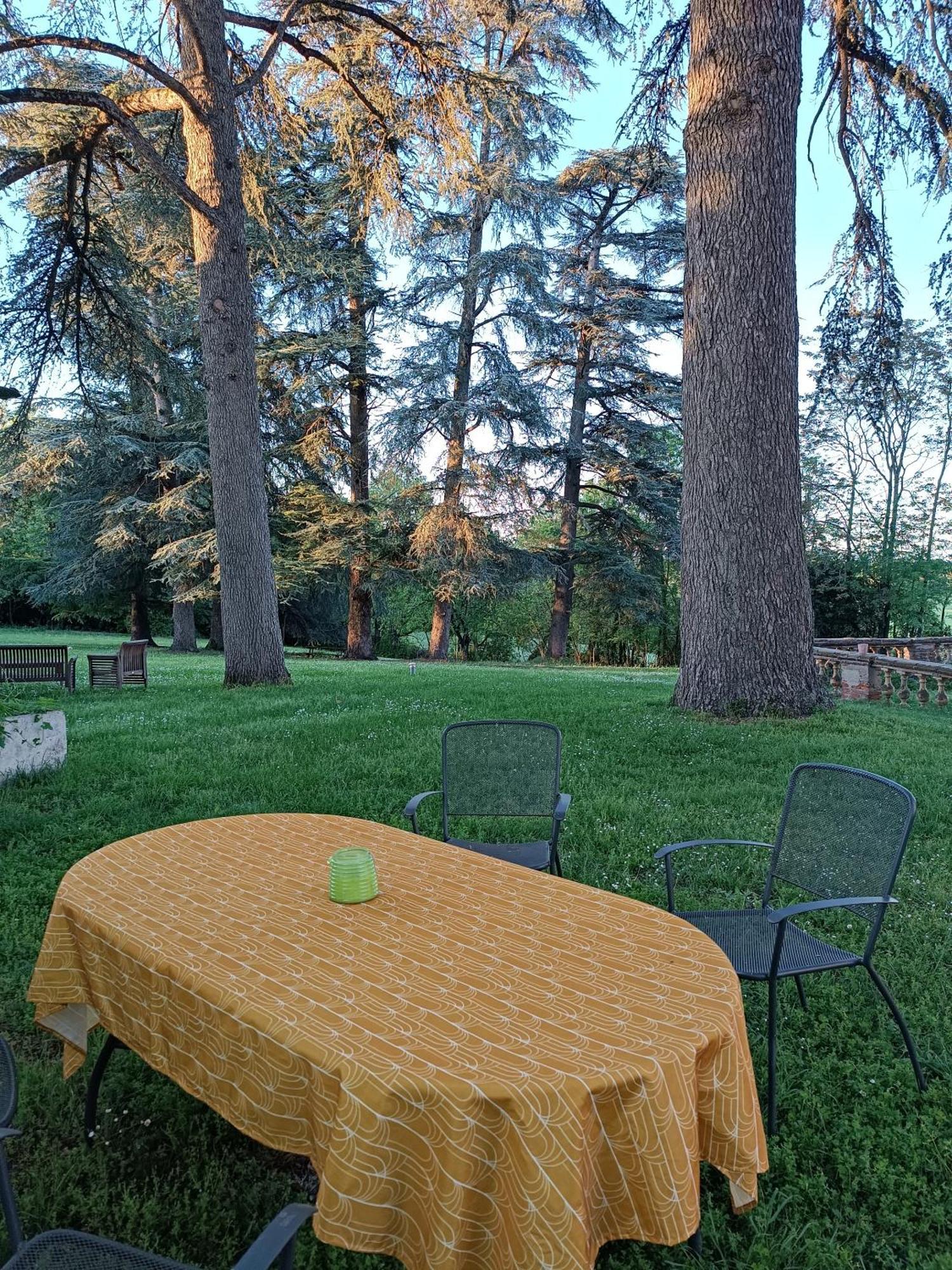 Le Jardin Des Cedres Hotel Lavaur  Bagian luar foto