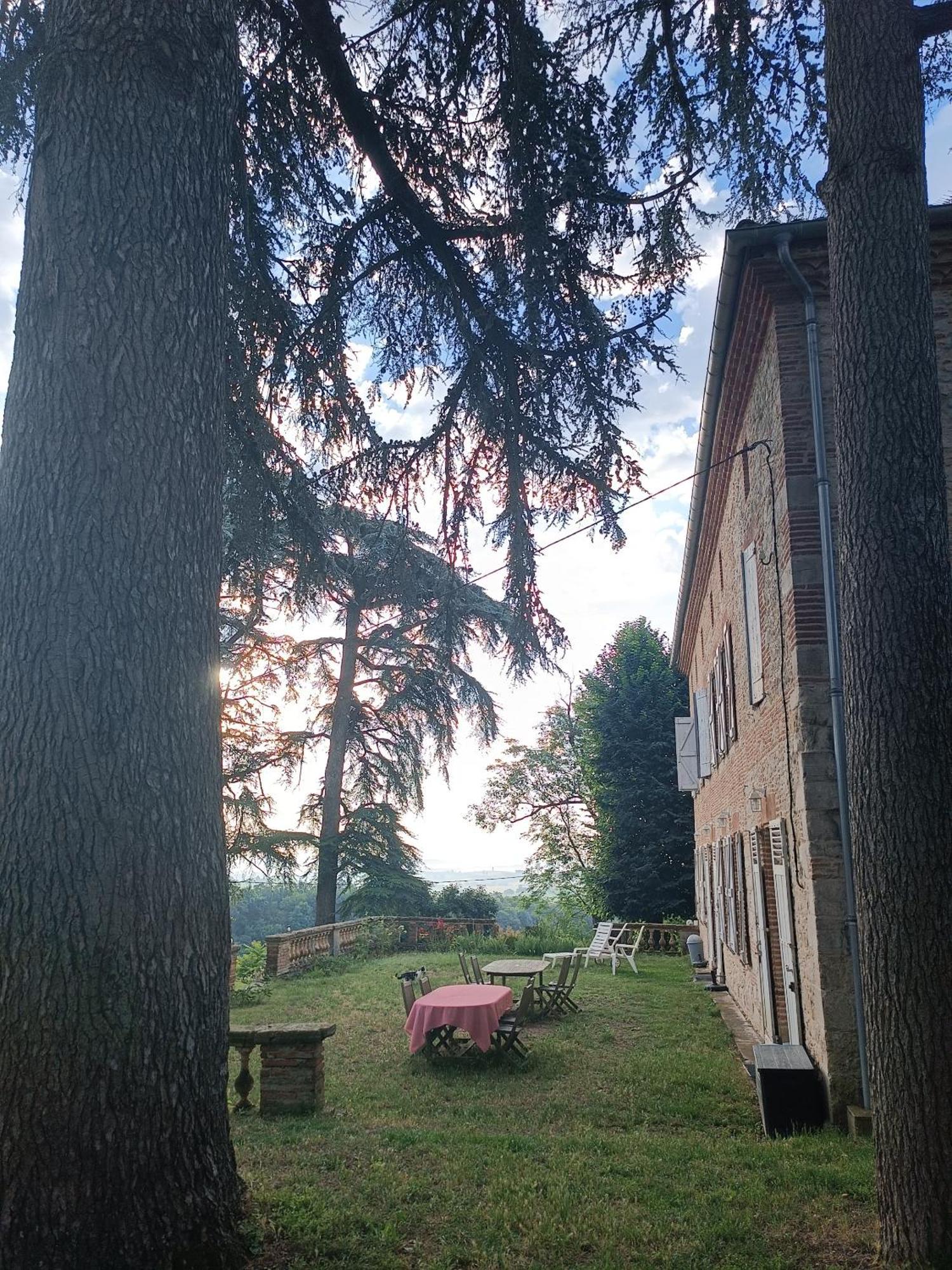 Le Jardin Des Cedres Hotel Lavaur  Bagian luar foto