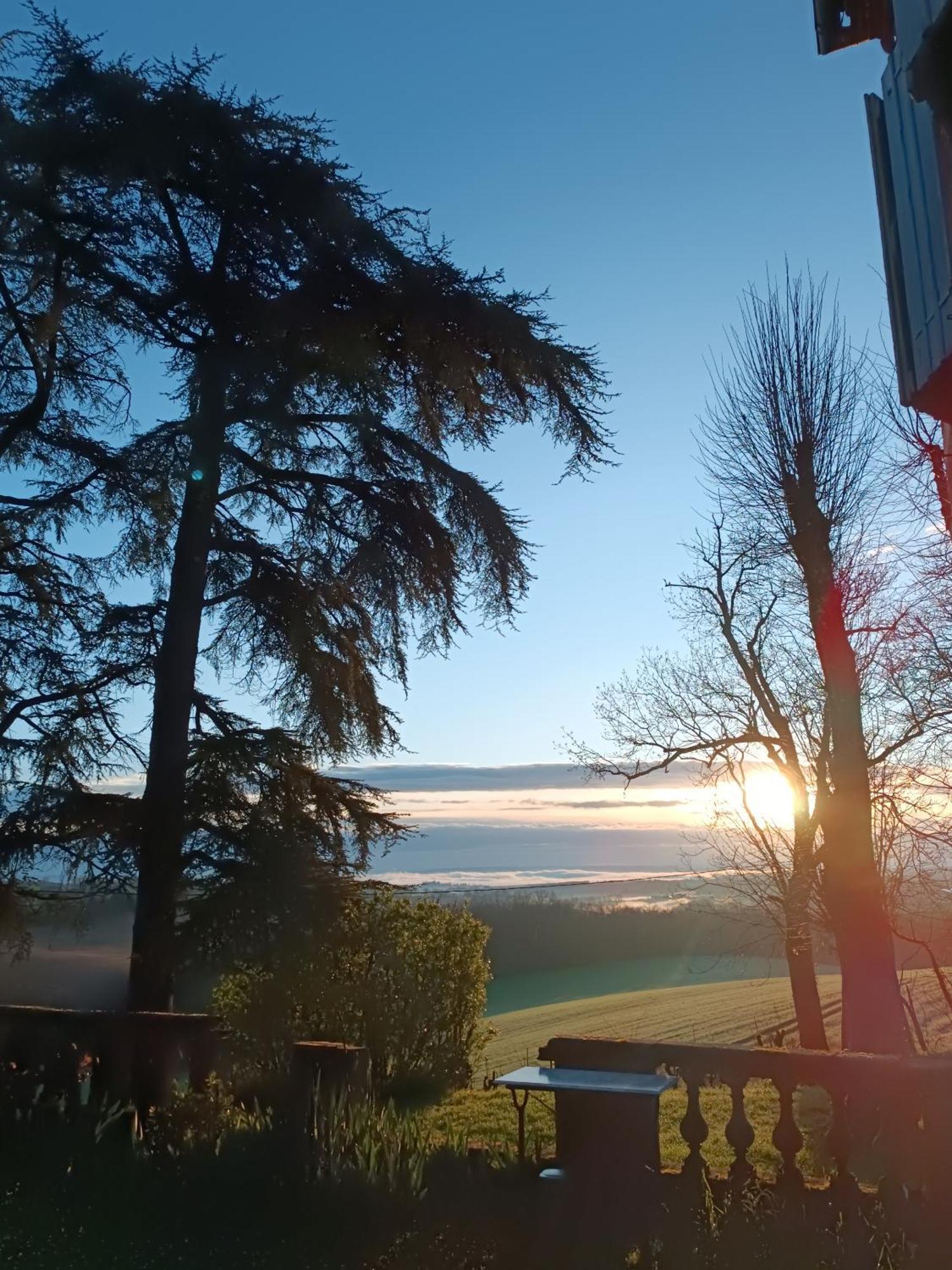 Le Jardin Des Cedres Hotel Lavaur  Bagian luar foto