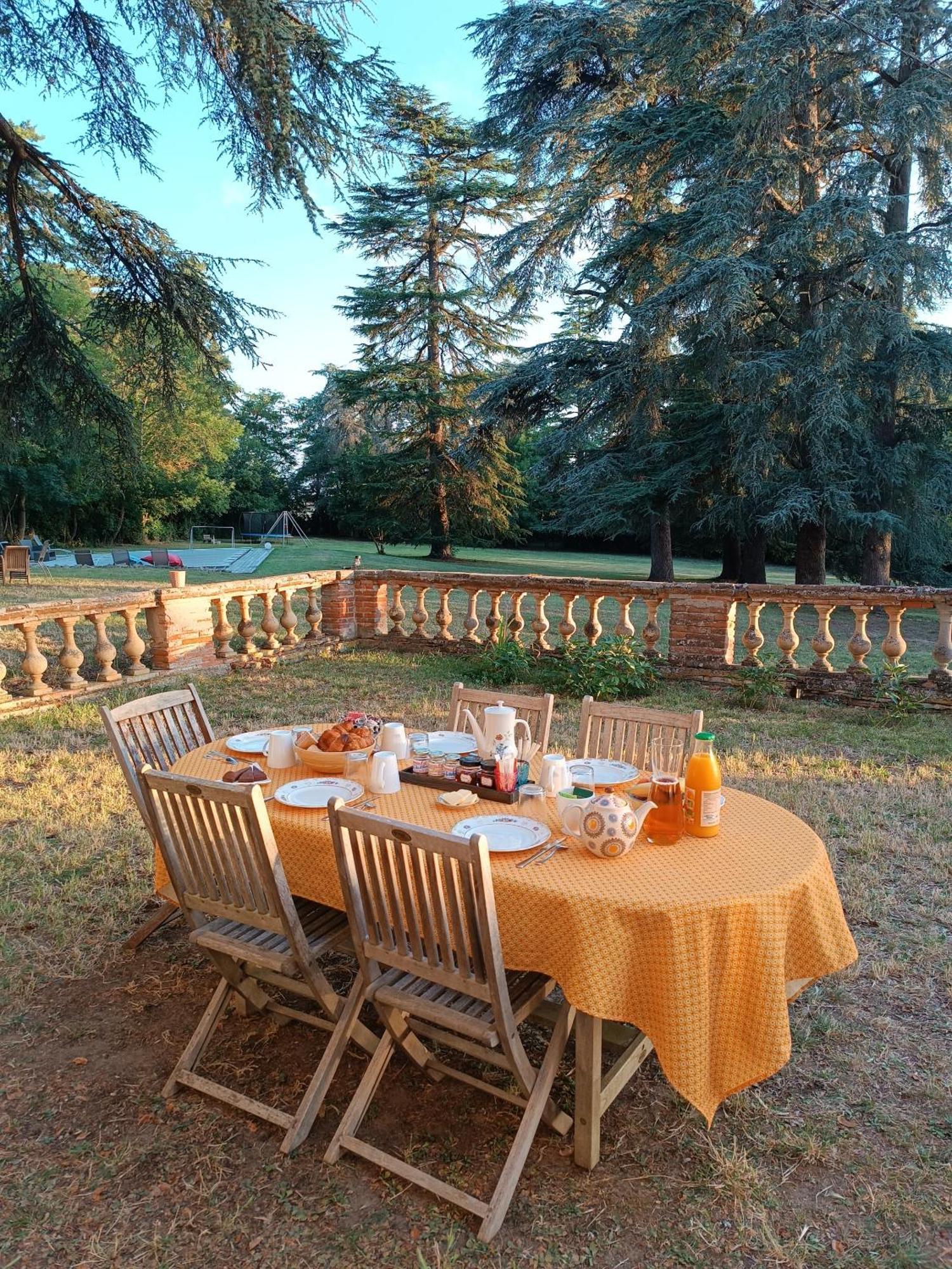 Le Jardin Des Cedres Hotel Lavaur  Bagian luar foto
